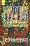 You Are Not: Beyond the Three Veils of Consciousness