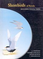 Shorebirds of Kerala