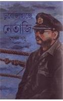 Dubojahaje Netaji