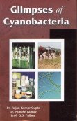 Glimpses Of Cyanobacteria