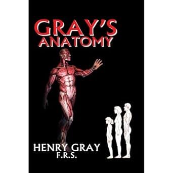 GrayS Anatomy