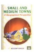 Small and Medium Towns: Geographical Perspectives