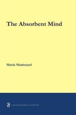 The Montessori Elementary Material
