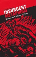 Insurgent Metaphors