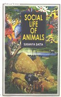 Social Life Of Animals