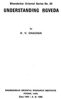 Understanding Rgveda
