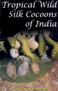 Tropical Wild Silk Cocoons Of India
