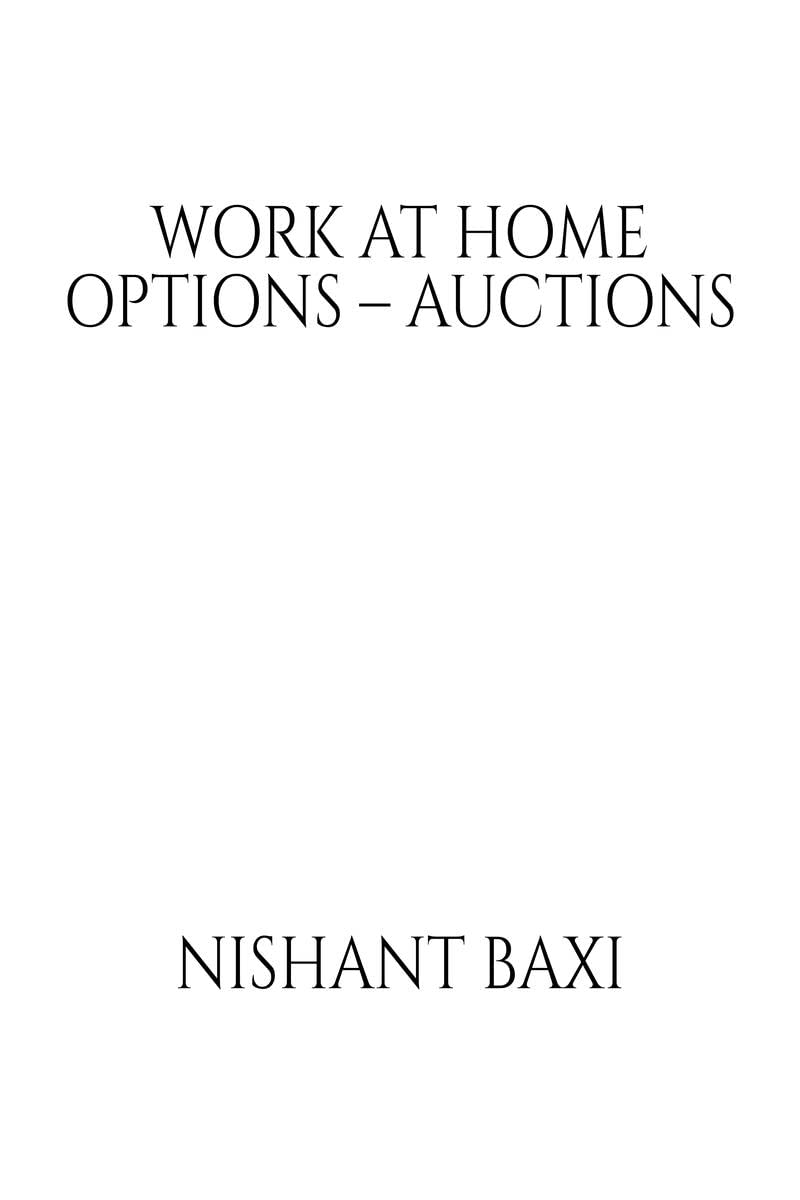 Work At Home Options  Auctions