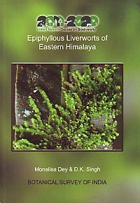 Epiphyllous Liverworts Of Eastern Himalaya