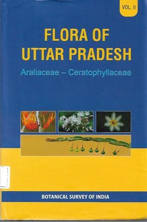 Flora Of Uttar Pradesh: Araliaceae  Ceratophyllaceae Vol Ii