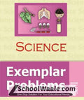 Ncert Schoolwaale Binded Class 7 Exemplar Science
