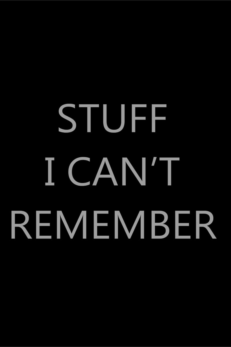 Stuff I Cant Remember : Password Log Book, Internet Login Keeper, Website Organizer, Simple & Minimalist, Matte Black Stealth Co