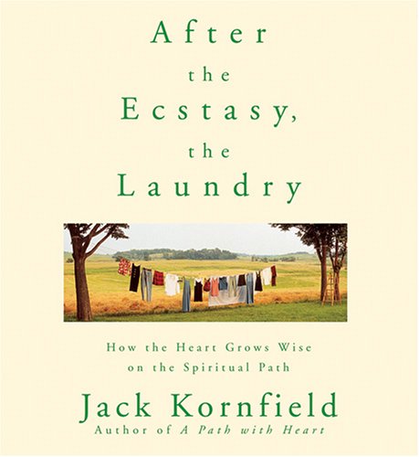 After the Ecstasy, the Laundry: How the Heart Grows Wise on the Spiritual Path