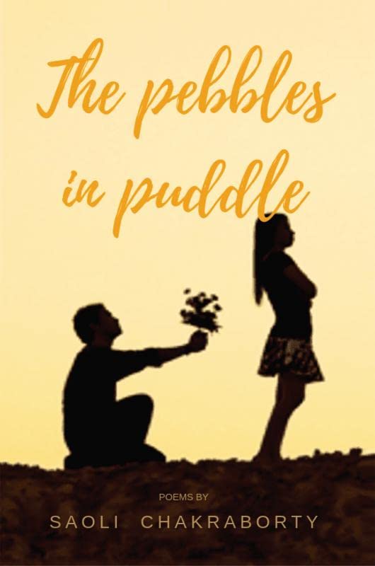 The Pebbles In Puddle