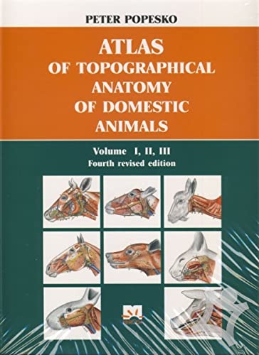 Atlas Of Topographical Anatomy Of Domestic Animals Vol.1,2,3 (In Single Volume) 4Ed (Hb)