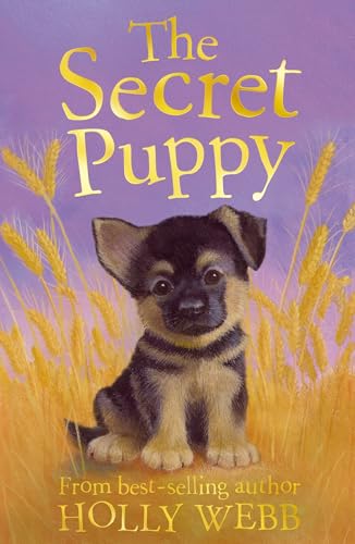 The Secret Puppy: 22 (Holly Webb Animal Stories)