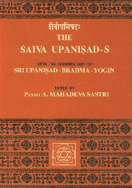 The Saiva Upanisads