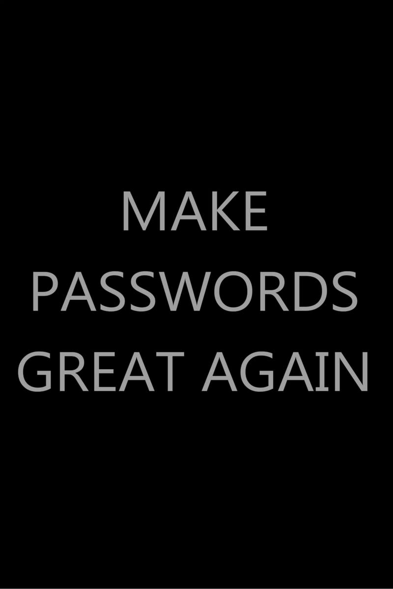 Make Passwords Great Again : Password Log Book, Internet Login Keeper, Website Organizer, Simple & Minimalist, Matte Black Steal