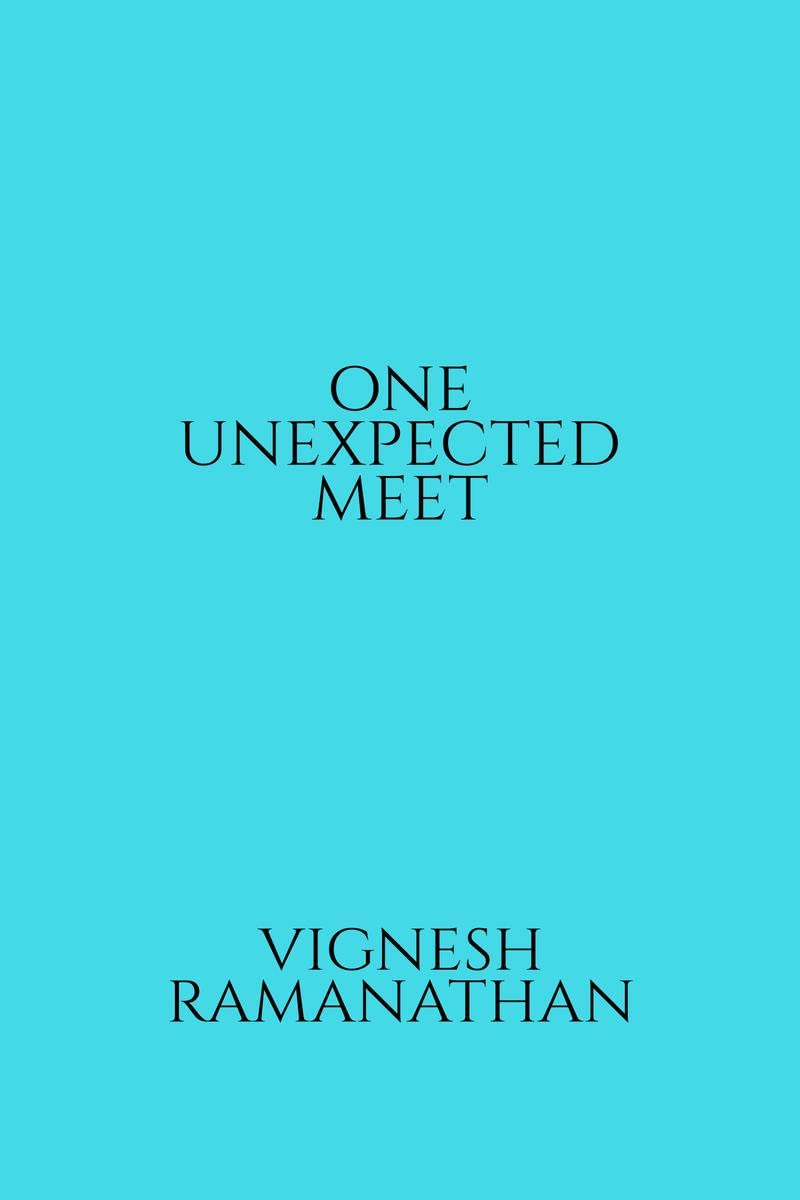 ONE UNEXPECTED MEET