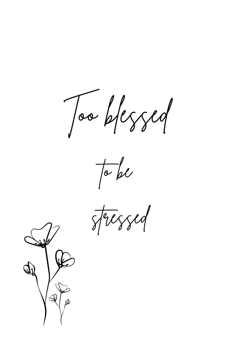 Too Blessed To Be Stressed: Be Thankful