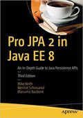 Pro Jpa 2 In Java Ee 8: An InDepth Guide To Java Persistence Apis