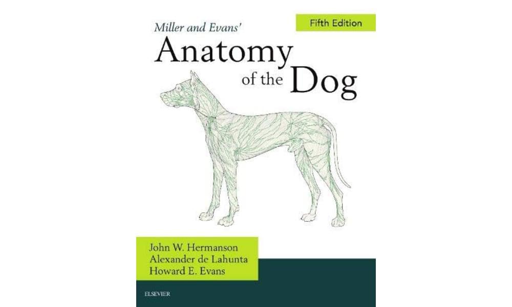 Miller And Evans Anatomy Of The Dog 5Ed (Hb 2020)