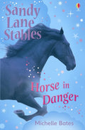 Horse In Danger (Sandy Lane Stables)