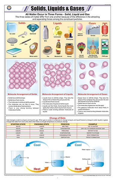 Stc48 | Teachingnest | Solids, Liquids And Gases Chart (58X90 Cm) | English | Chemistry Charts | With Rollers