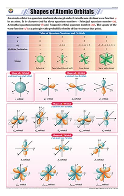 Stc49 | Teachingnest | Shapes Of Atomic Orbitals Chart (58X90 Cm) | English | Chemistry Charts | With Rollers
