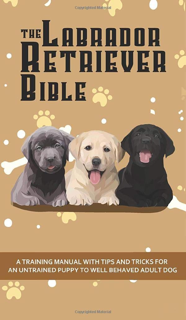 The Labrador Retriever Bible  A Training Manual With Tips and Tricks For An Untrained Puppy To Well Behaved Adult Dog