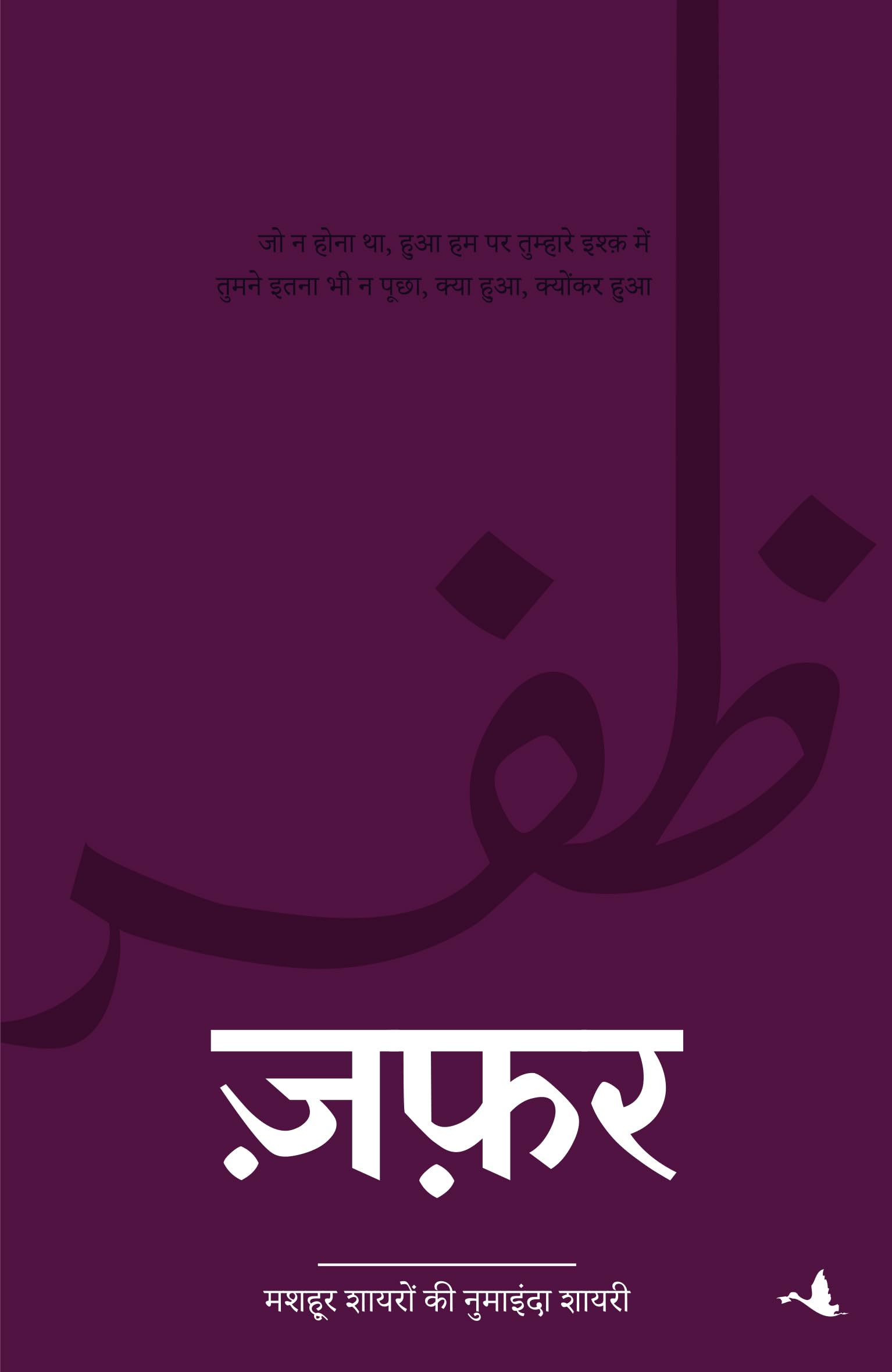 ZAFAR (Hindi Edition)