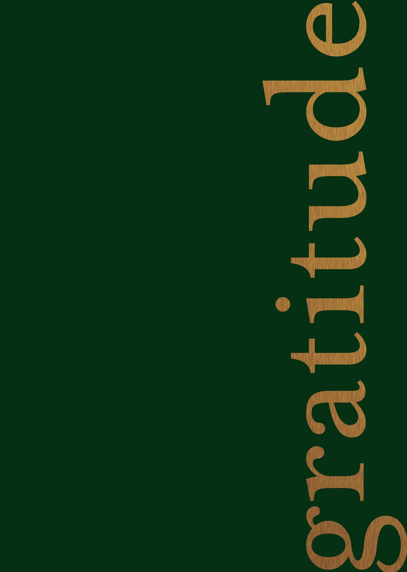 My Daily 5Minute Gratitude Journal