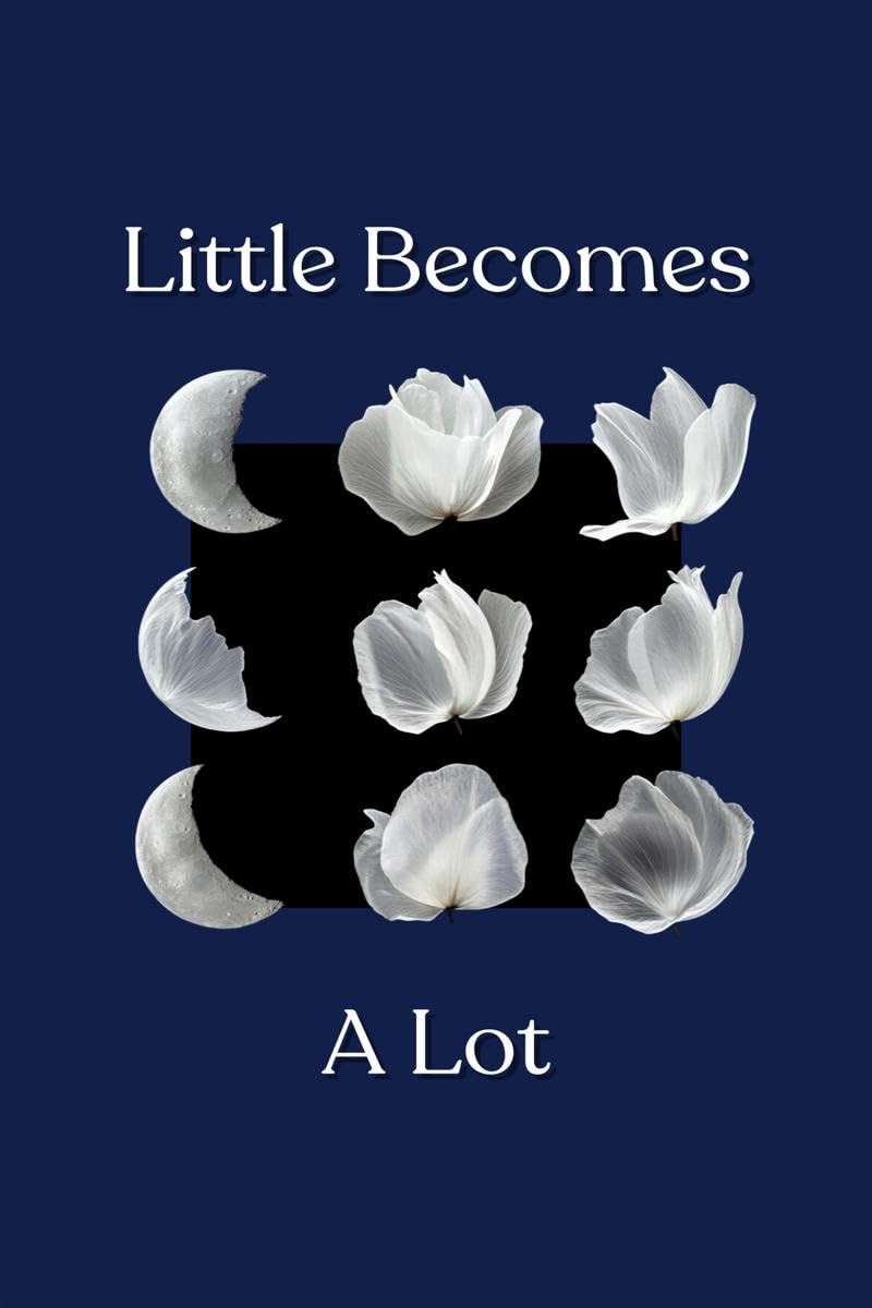 Little Becomes A Lot S. Roge