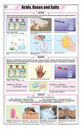 Stc45 | Teachingnest | Acids, Bases And Salts Chart (58X90 Cm) | English | Chemistry Charts | With Rollers [Wall Chart] Teaching