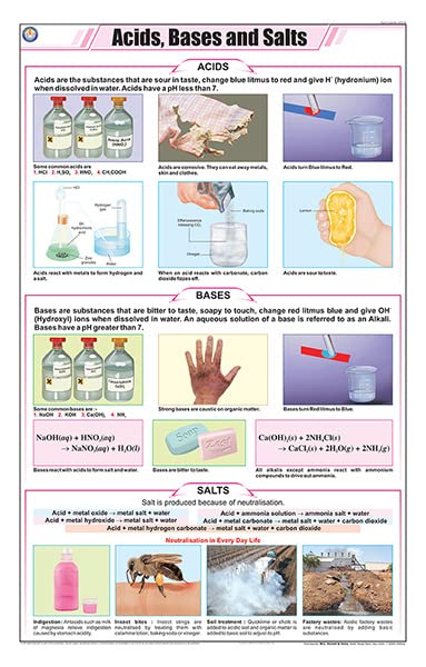 Stc45 | Teachingnest | Acids, Bases And Salts Chart (58X90 Cm) | English | Chemistry Charts | With Rollers [Wall Chart] Teaching