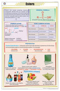 Stc24 | Teachingnest | Esters Chart (58X90 Cm) | English | Chemistry Charts | With Rollers [Wall Chart] Teachingnest And Charts 