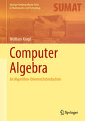 Computer Algebra: An AlgorithmOriented Introduction (Springer Undergraduate Texts in Mathematics and Technology)
