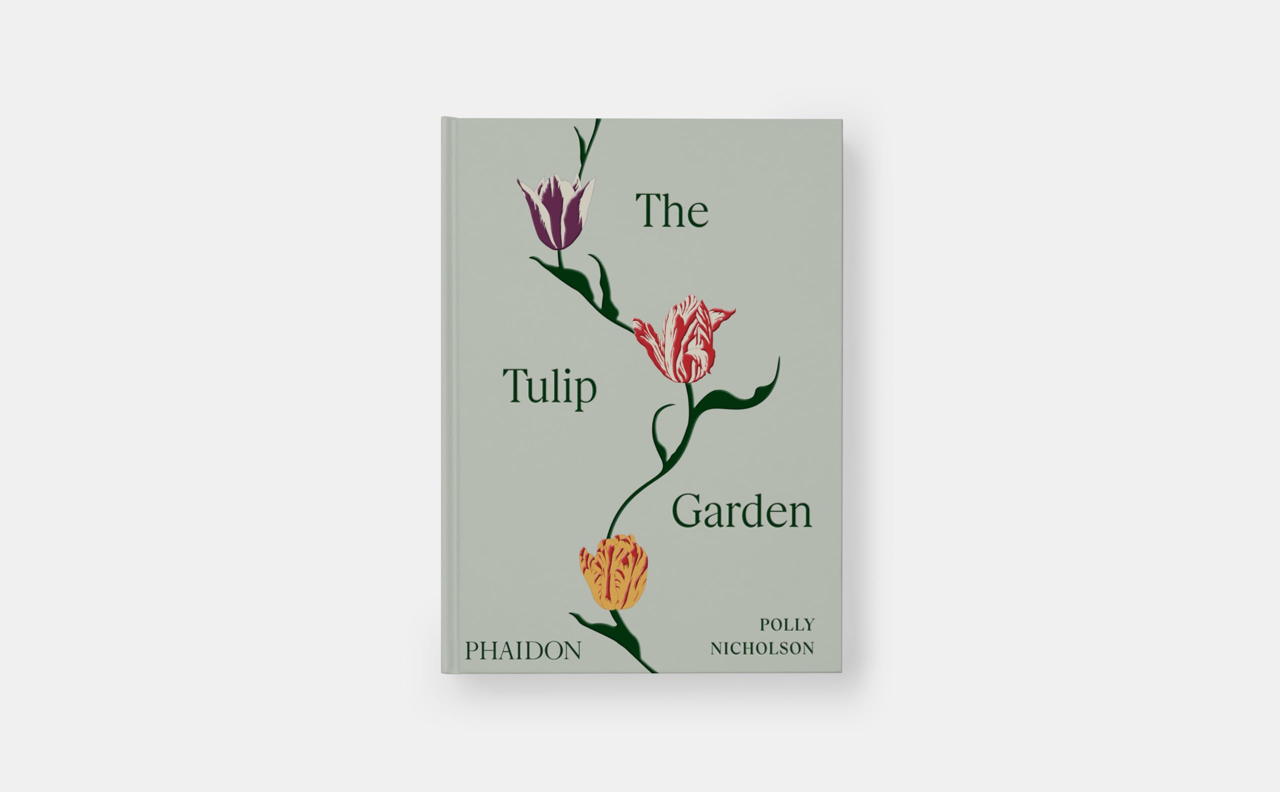 The Tulip Garden