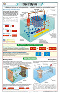 Stc46 | Teachingnest | Electrolysis Chart (58X90 Cm) | English | Chemistry Charts | With Rollers [Wall Chart] Teachingnest And C