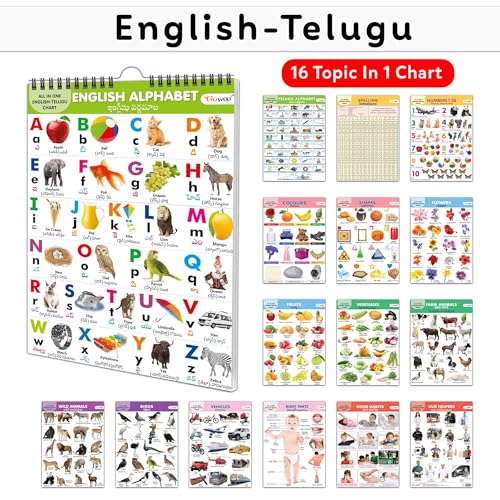 My First ALL IN ONE SPIRAL CHART ENGLISHTELUGU : Chart Book Of All In One, Early childhood learning Chart With 16 Topics, birth
