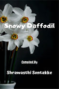 Snowy Daffodil