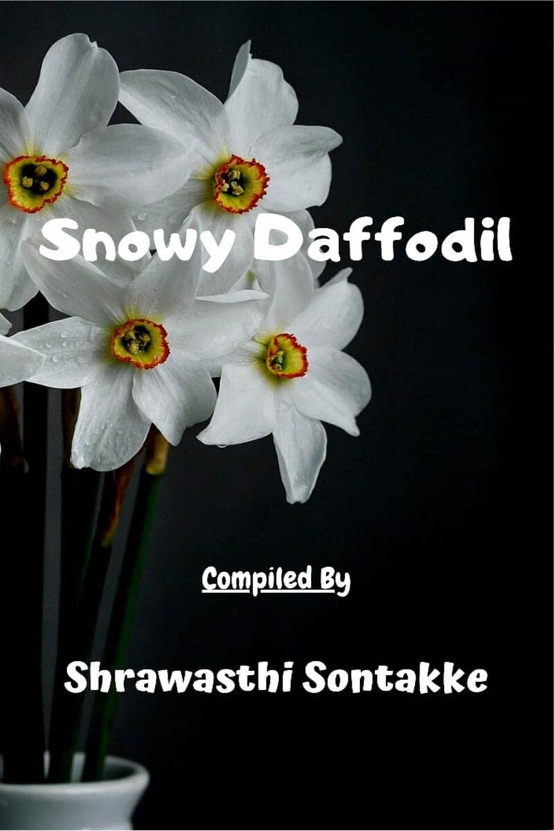 Snowy Daffodil