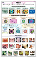 Stb37 | Teachingnest | Viruses Chart (58X90Cm) | Botany Chart | English | Wall Hanging [Wall Chart]