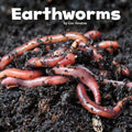 Earthworms (Little Critters)