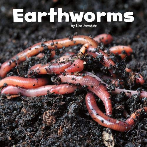 Earthworms (Little Critters)