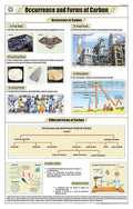 Stc10 | Teachingnest | Occurance And Forms Of Carbon Chart (58X90 Cm) | English | Chemistry Charts | With Rollers