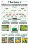 Stb01 | Teachingnest Plant Kingdom Chart (58X90Cm) | English | Botany Charts | With Rollers [Wall Chart] Botany Charts And Teach
