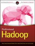 Professional Hadoop