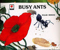 Busy Ants