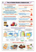 Stc36 | Teachingnest | Preparation Of Sulphur Dioxide And Sulphuric Acid Chart (58X90 Cm) | English | Chemistry Charts | With Ro